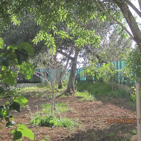 Hotel Quinta Da Fonte Em Moncarapacho Exteriér fotografie